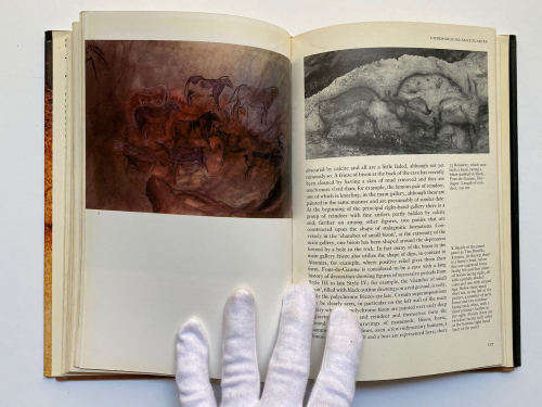 The Cave Artists (Ancient Peoples and Places) by Ann Sieveking (Author)