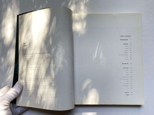 Mtiv: Process, Inspiration and Practice for the New Media Designer by Hillman Curtis
