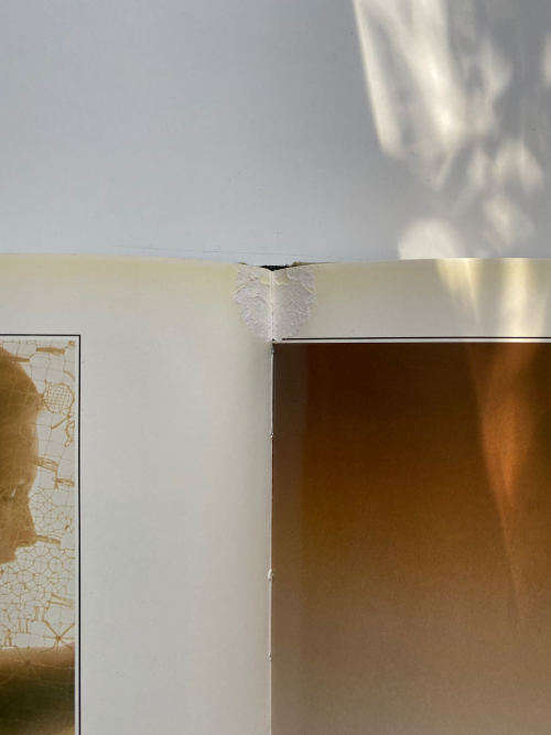Sam Haskins: Photographics ( No dust cover)