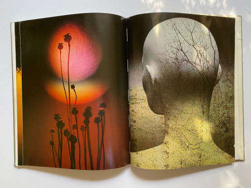 Sam Haskins: Photographics ( No dust cover)