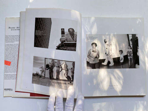 Panic Attack! Art in the Punk Years by Mark Sladen (Editor), Ariella Yedgar