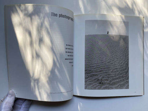 In Search of the San by Paul WeInberg