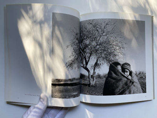In Search of the San by Paul WeInberg