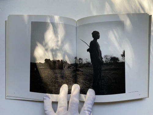 In Search of the San by Paul WeInberg