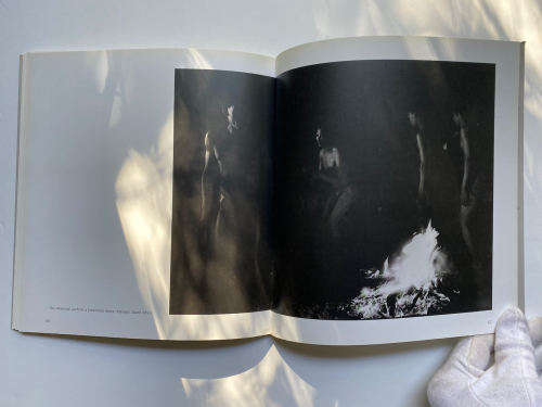 In Search of the San by Paul WeInberg