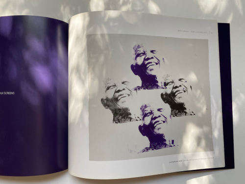 Beezy Bailey - ICON ICONOCLAST by Everard Read Gallery