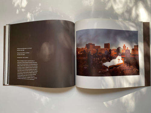 Anthea Moys: At my own risk