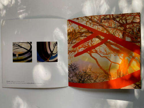 Rae Hearn (South African Artist)