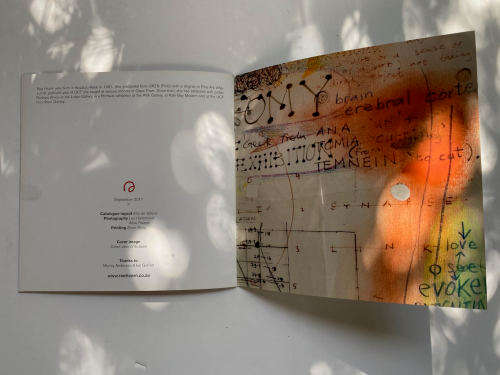 Rae Hearn (South African Artist)