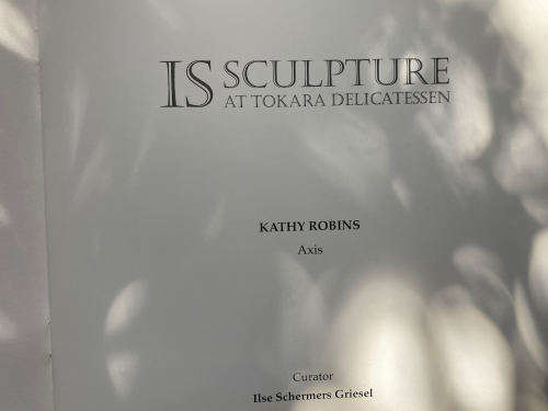 Kathy Robins: Axis