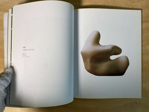 Arp