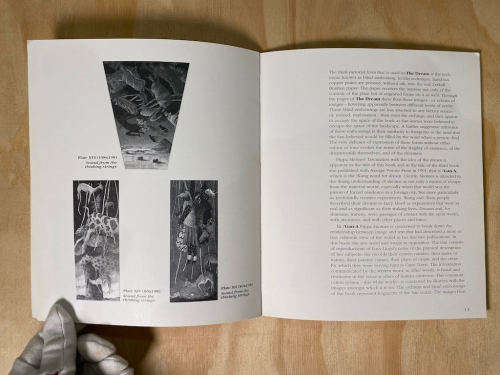 Pippa Skotnes: in the Wake of the White Wagons- Essay By Michael Godby