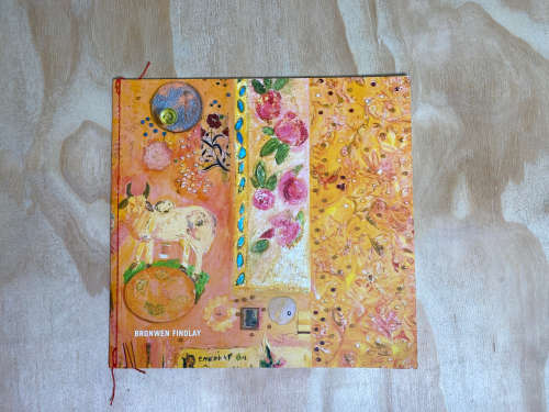 Bronwen Findlay: Every Picture Tells A Story (South African Artist)