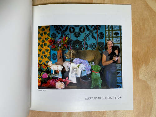 Bronwen Findlay: Every Picture Tells A Story (South African Artist)