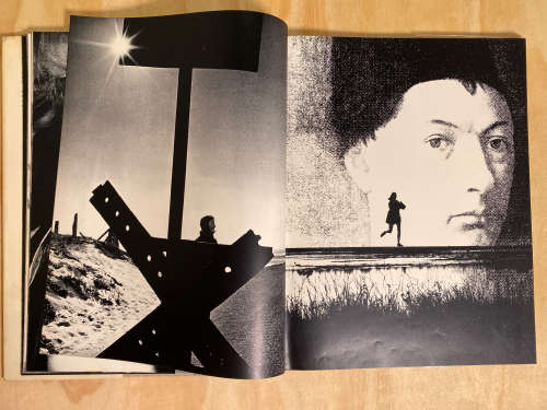 November girl by Sam Haskins