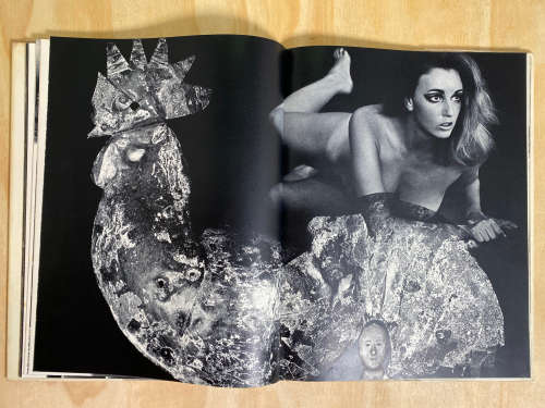 November girl by Sam Haskins