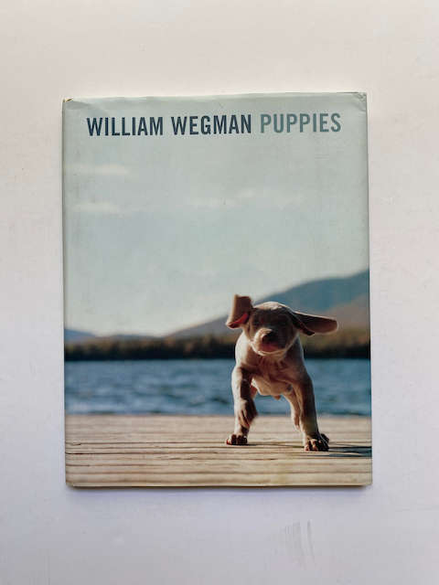 William Wegman: Puppies