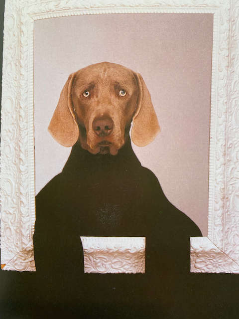 William Wegman: Puppies