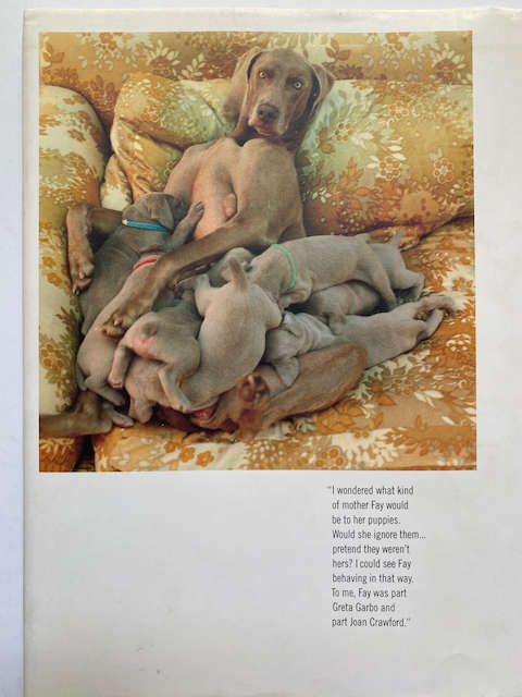 William Wegman: Puppies