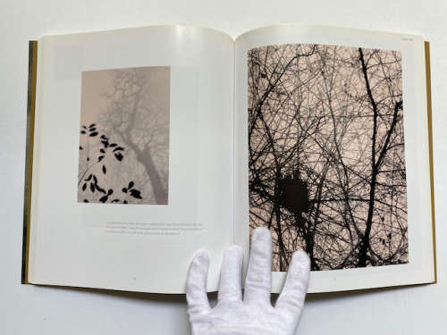 The World of Lith Printing