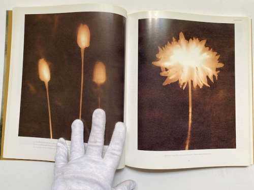 The World of Lith Printing
