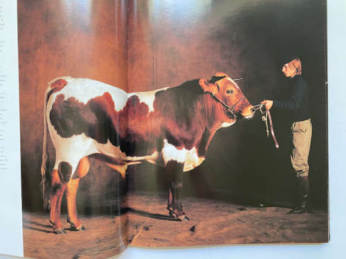 Arte Rural by Yann Arthus-Bertrand