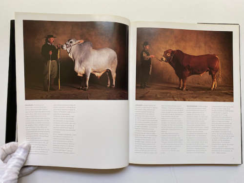 Arte Rural by Yann Arthus-Bertrand