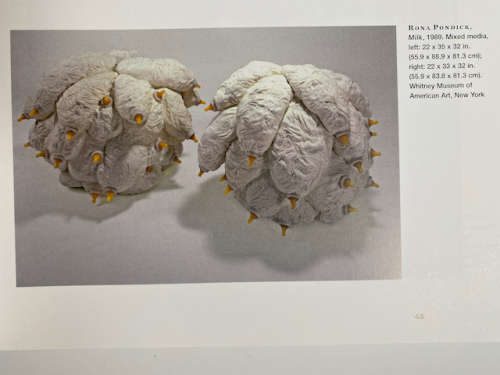 After the Revolution: Women who Transformed Contemporary Art by Eleanor Heartney