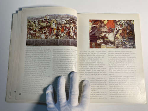Diego Rivera y la salud (Spanish Edition)