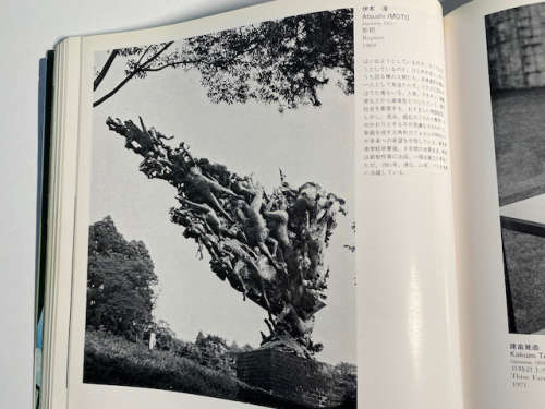 Horst: His Work and His World