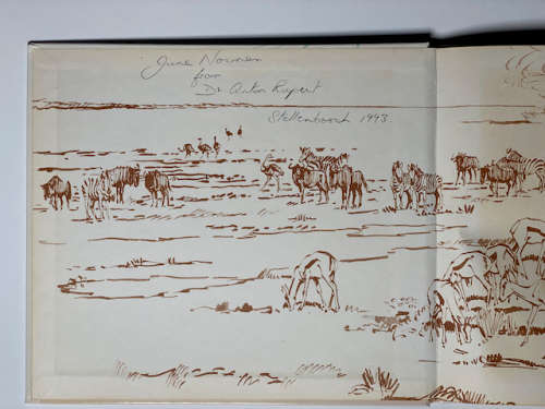 Etosha, Animal art of Etosha
