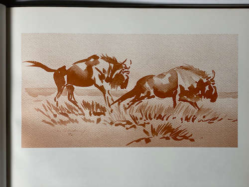 Etosha, Animal art of Etosha