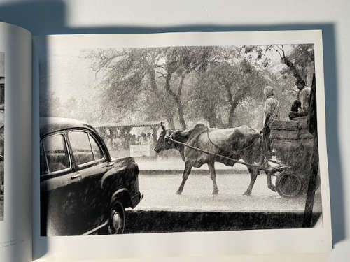 Delhi Contrasts and Confluence by Raghu Rai