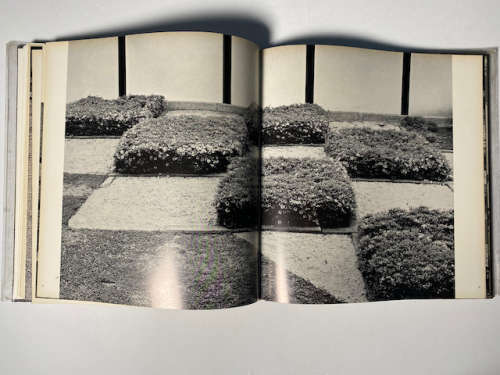 The Japanese Garden by Takeji Iwamiya