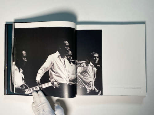 Jazz Rocks by Rashid Lombard