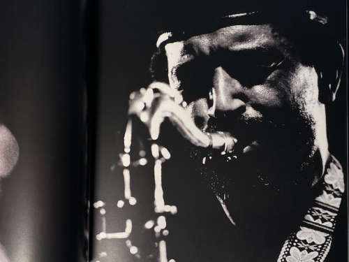 Jazz Rocks by Rashid Lombard