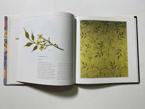 The Life and Works of William Morris