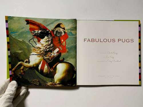 Fabulous Pugs by Lisa Knapp