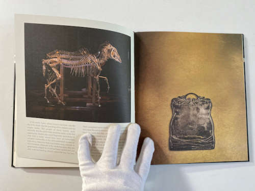 Pippa Skotnes: The Book of Iterations