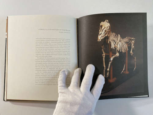 Pippa Skotnes: The Book of Iterations