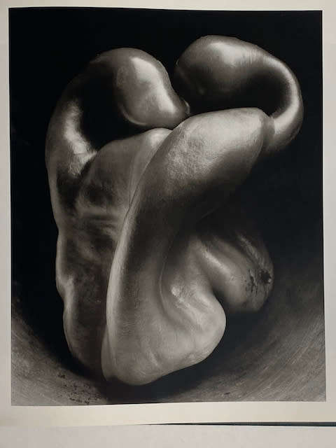 Edward Weston (Masters of Photography)