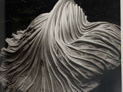 Edward Weston (Masters of Photography)