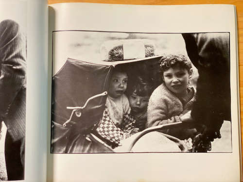 Book 1 Photographs by Rodney Barnett