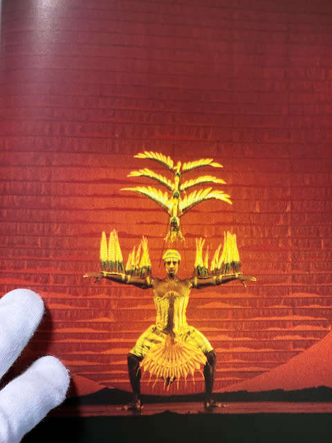 The Lion King: Pride Rock on Broadway by Julie Taymor