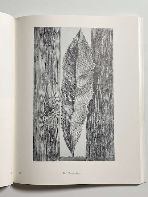 Max Ernst: Frottages