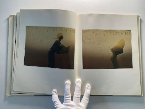 Sam Haskins: Photographics
