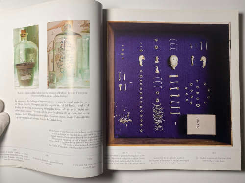 Curiosity CLXXV: A Paper Cabinet by Skotnes, Pippa & Van Embden, Gwen & Langerman, Fritha
