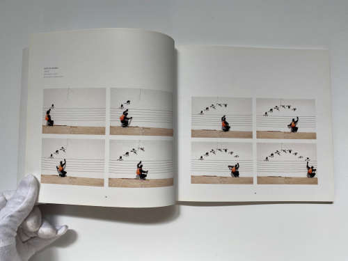 Robin Rhode: Paries Pictus