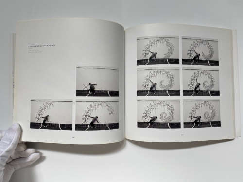 Robin Rhode: Paries Pictus