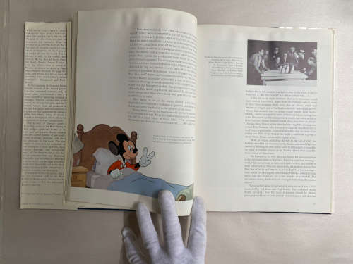 The Art Of Walt Disney: From Mickey Mouse to the Magic Kingdoms
